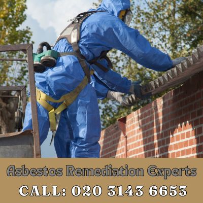 Asbestos Remediation Experts Weston Green