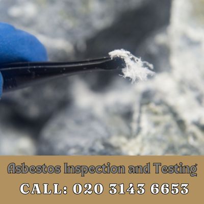 Comprehensive Asbestos Inspection and Testing Services in Weston Green